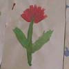 Pre-K Art Portfolios