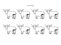 Cow Bingo