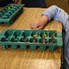 Pre-K Pond Unit