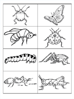 theme cards