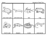 Pond Life Theme - PreKinders