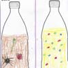 Science Portfolios