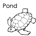 Pond Life Theme Pre-K