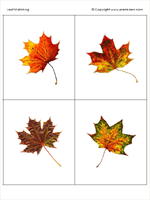 leaf matching
