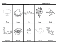Nature Walk
