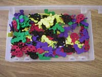 Foam Bugs