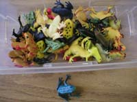 Frogs