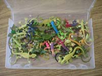 Lizards