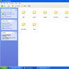 Organization