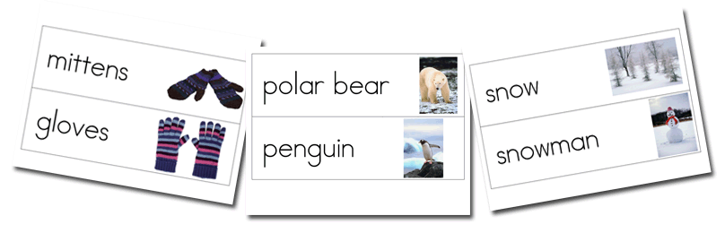 Winter Word Wall Cards