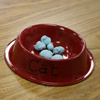 Pre-K Pets Theme