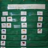 Pre-K Pets Theme