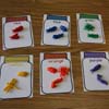 Preschool Bugs Theme
