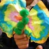 Preschool Bugs Unit