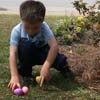 Easter Theme