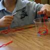 Pre-K Rainforest Unit