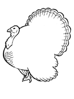 thanksgiving writing paper
