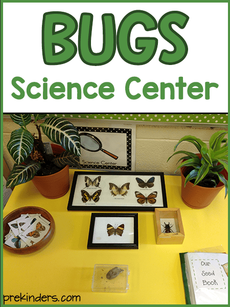 Bugs Science Center Prekinders