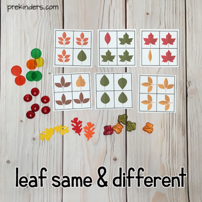 Leaf Matching & Visual Discrimination Games - PreKinders Preschool ...