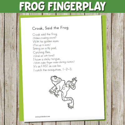 Pond Life Theme - PreKinders Preschool Activities