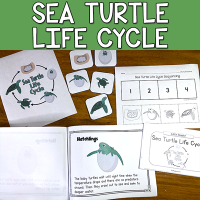 Preschool Ocean Theme Activities - PreKinders Preschool Activities