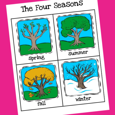 Weather & Seasons Printable Cards - PreKinders Preschool Activities