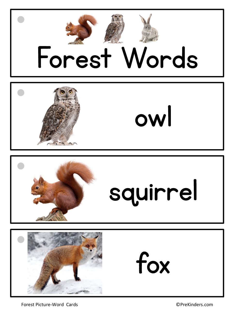 Forest Word Cards PreKinders