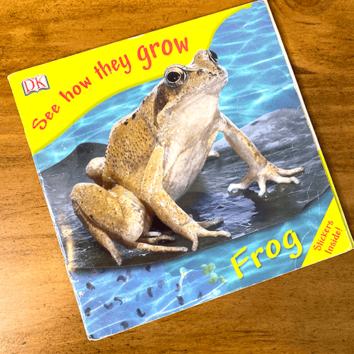 See How they Grow Frog book cover