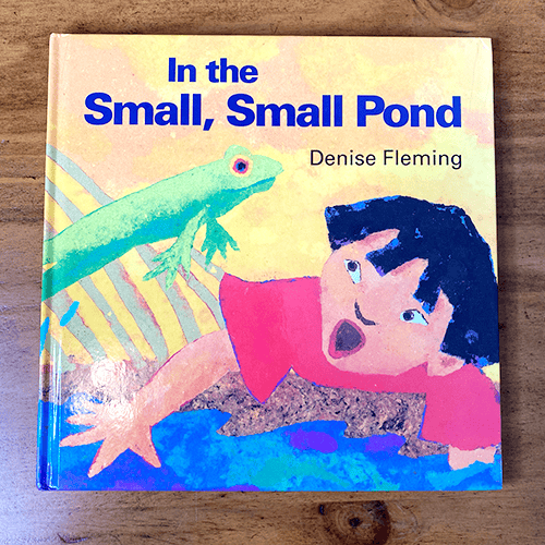 In the Small, Small Pond book cover