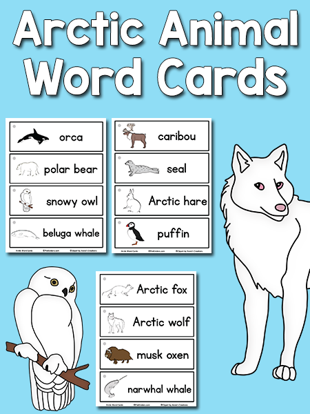 Arctic Animal Picture-Word Cards - PreKinders