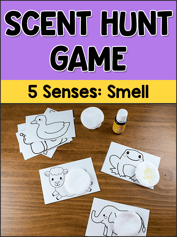 scent hunt game for sense of smell - 5 senses activity