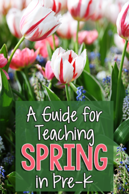 Need Spring Preschool Activities? - PreKinders Preschool Activities