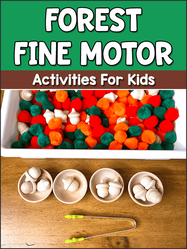 Forest Fine Motor Activities