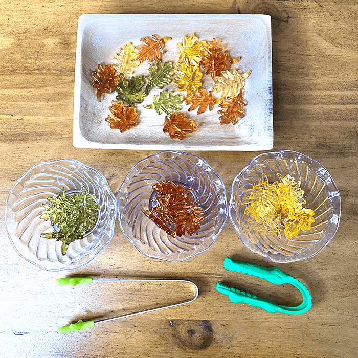 Leaf Sorting Fine Motor