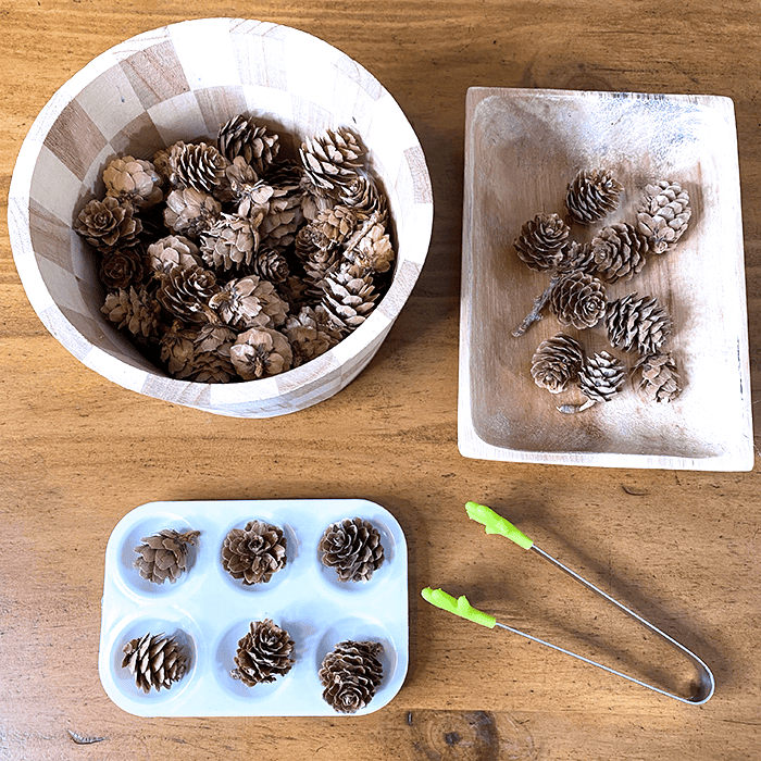 Pinecone Fine Motor